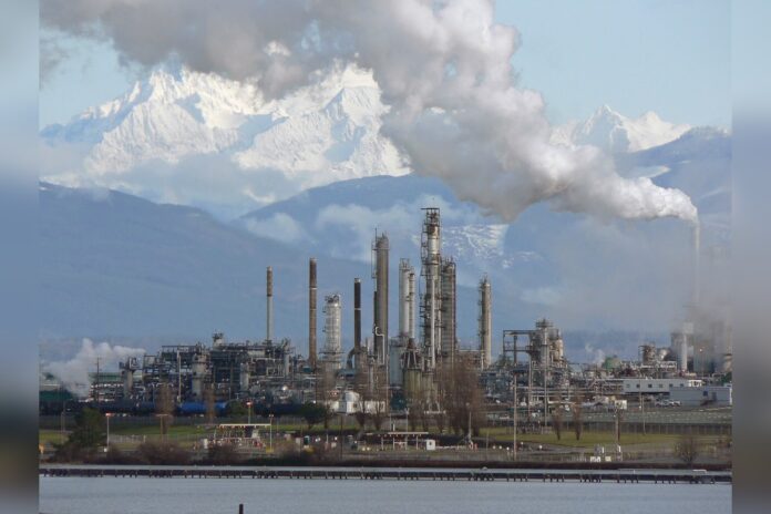 oil refinery (photo)